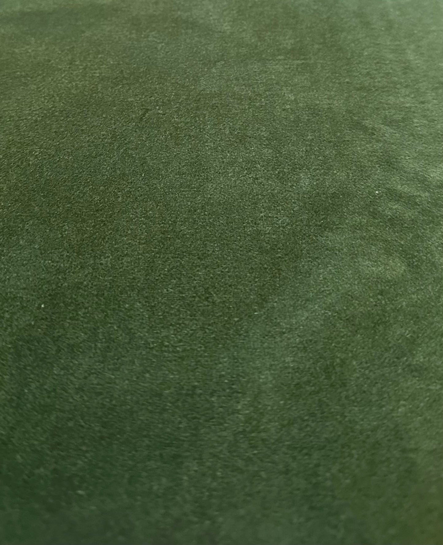 Designer Guild Velvet Leaf Green 1B