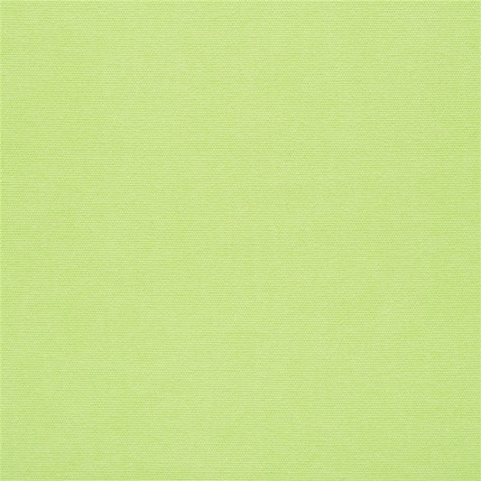 Designer Guild Cotton Mix Lime 1A