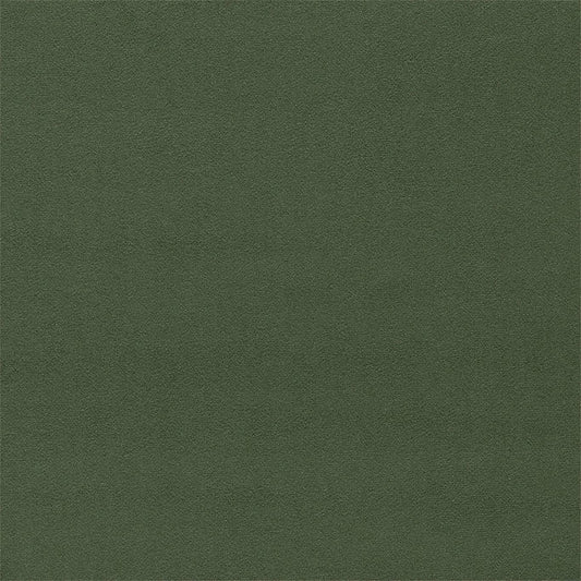 Sanderson Velvet Green 1C